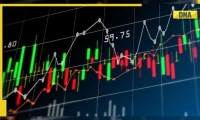 南侨食品11月净利润1589万元，同比减少49